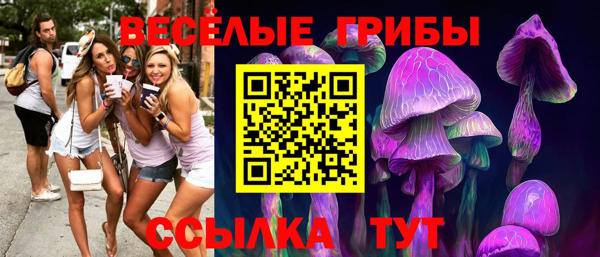 Галлюциногенные грибы Psilocybine cubensis  Вход с VPN  продажа наркотиков  Тайшет 