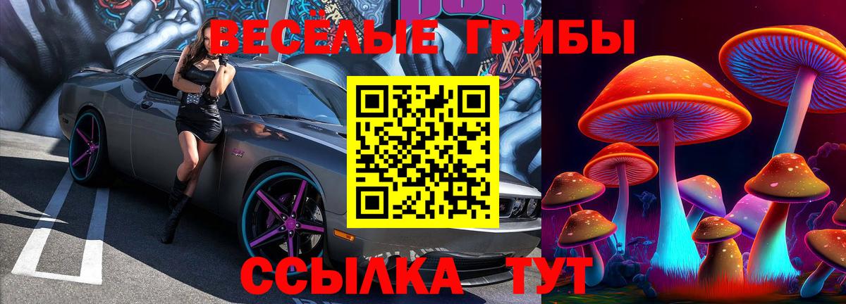 Каннабис Тайшет