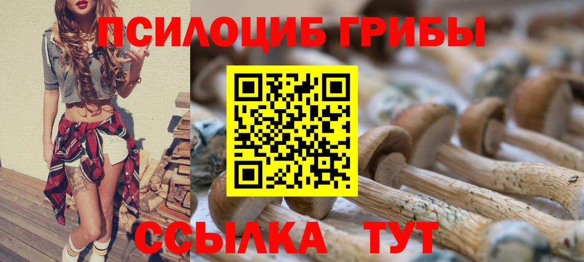 Псилоцибиновые грибы MAGIC MUSHROOMS Тайшет